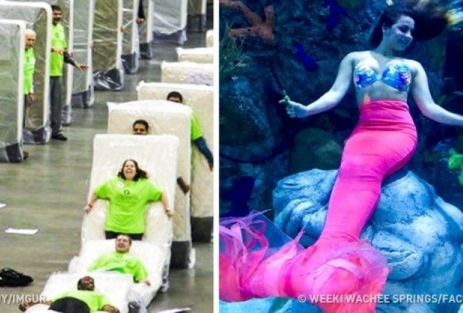 Here a compilation of really interesting jobs that people do and even get paid for. 